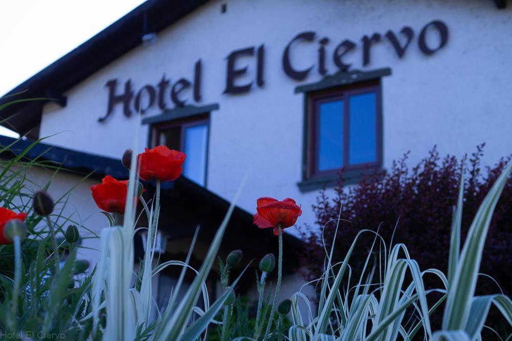 Hotel El Ciervo Villarrica Kültér fotó