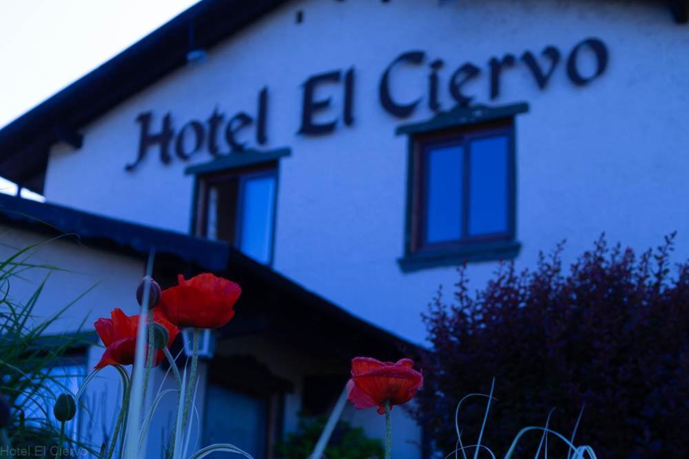 Hotel El Ciervo Villarrica Kültér fotó